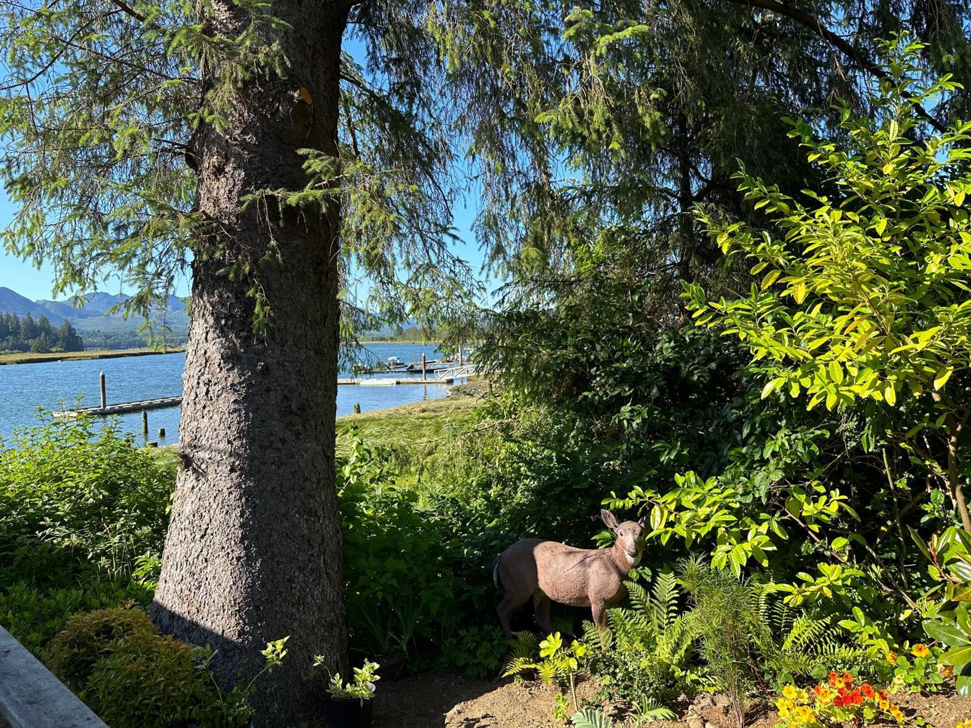 Wheeler On The Bay Lodge And Marina Buitenkant foto